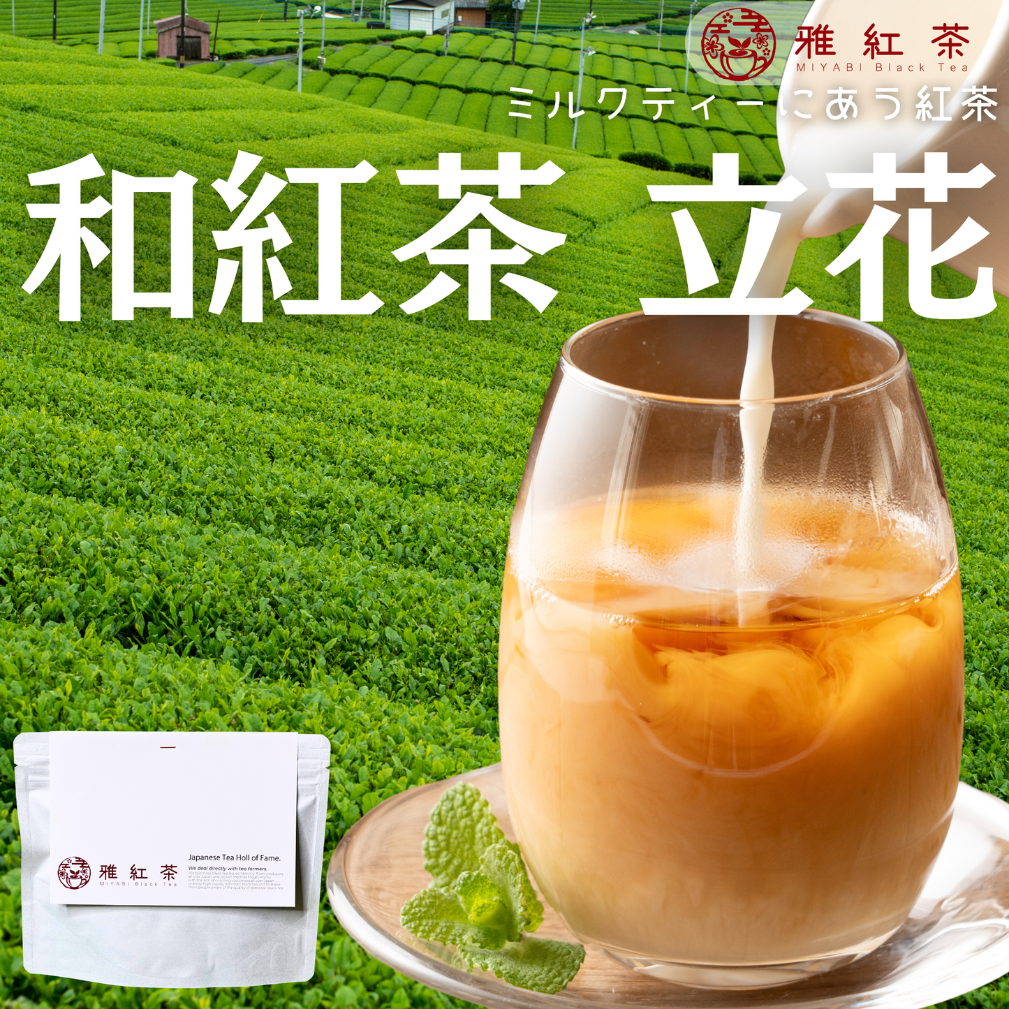 八女紅茶 立花【福岡県】- 生産者ブレンド|ProducerBlend