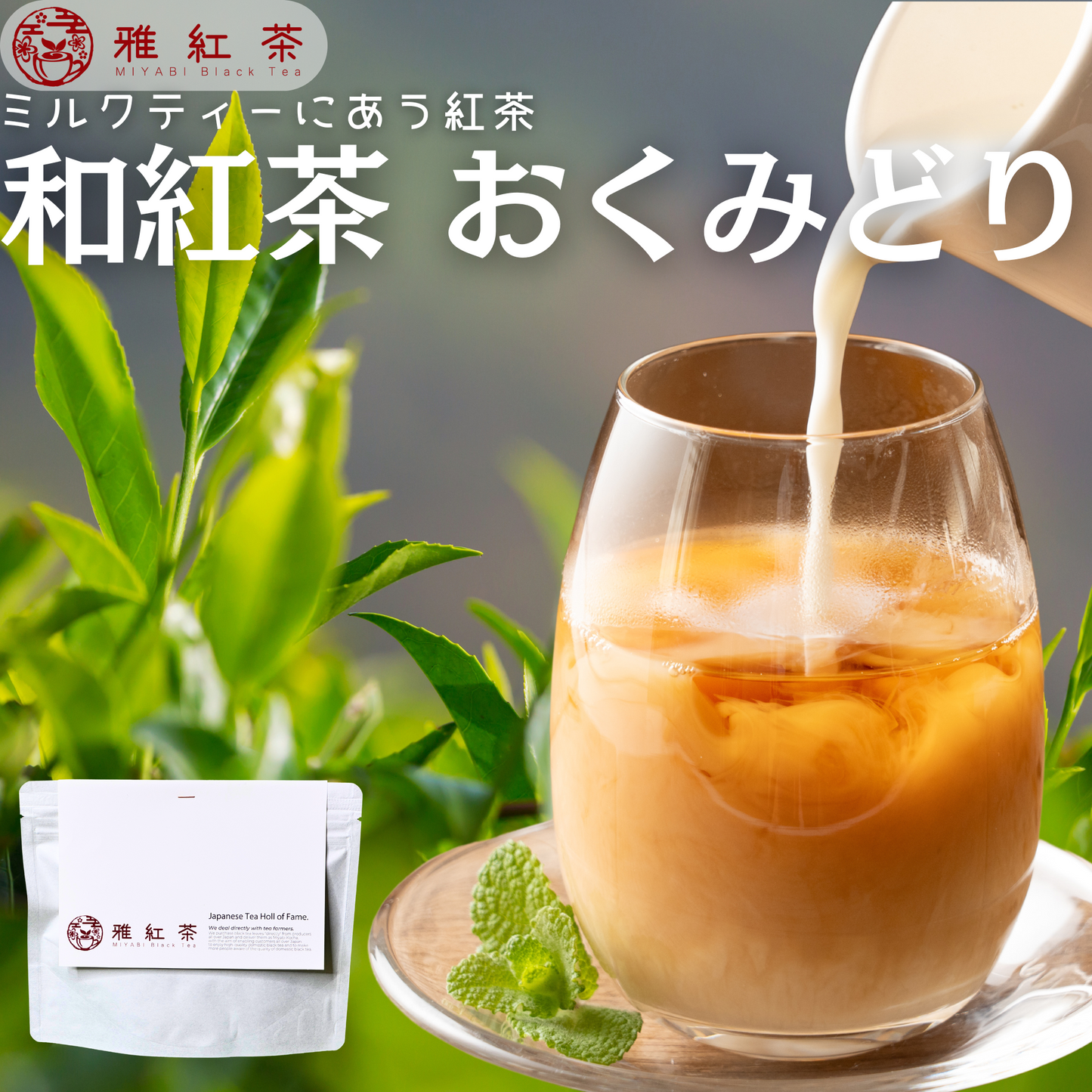 猿島紅茶 おくみどり【茨城県】- シングルオリジン|SingleOrigin