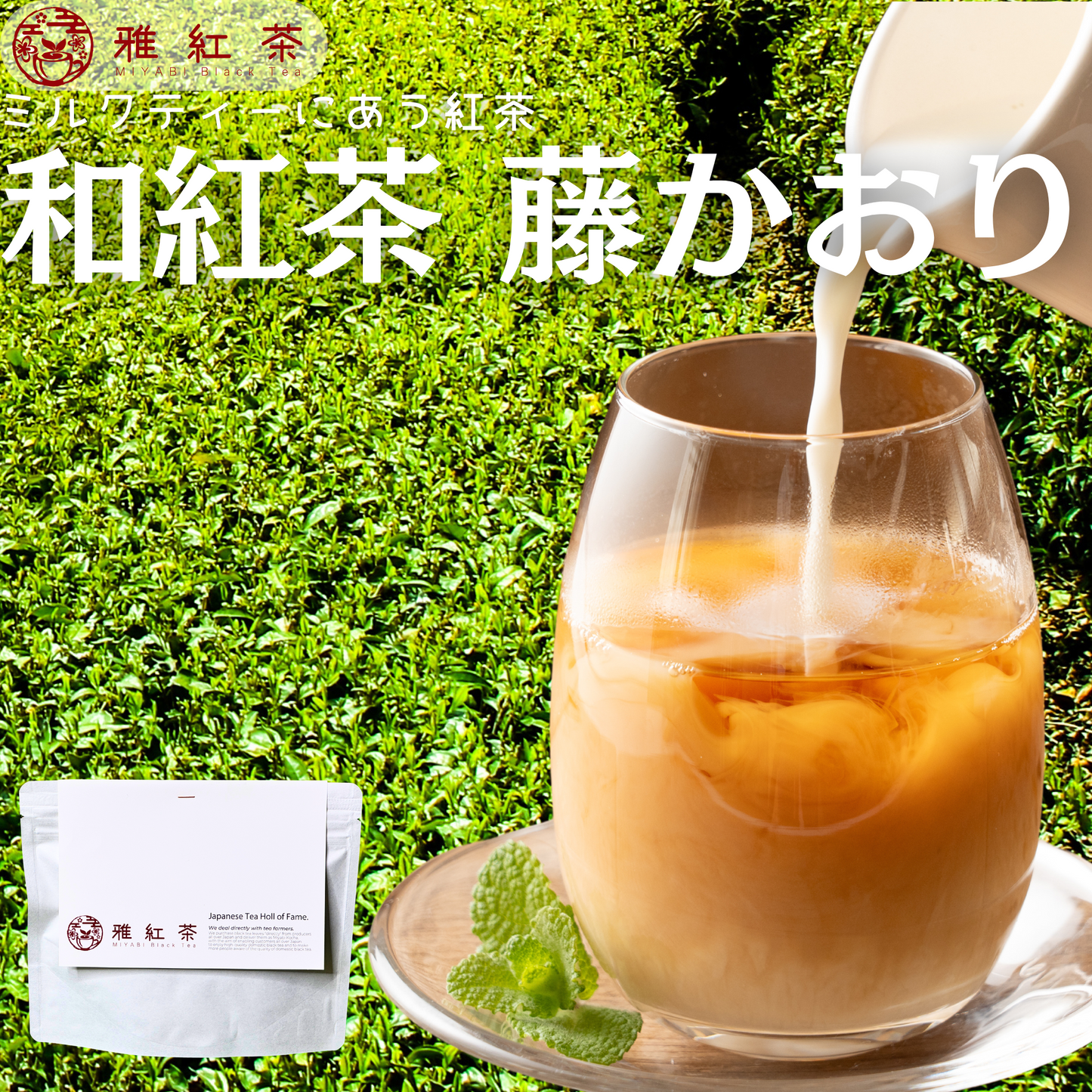 猿島紅茶 藤かおり【茨城県】- シングルオリジン|SingleOrigin