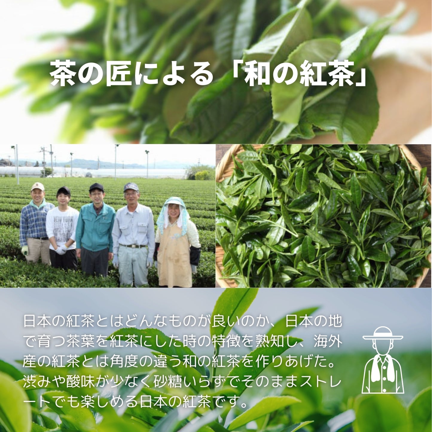 九州ブレンド紅茶 - 生産者ブレンド|ProducerBlend