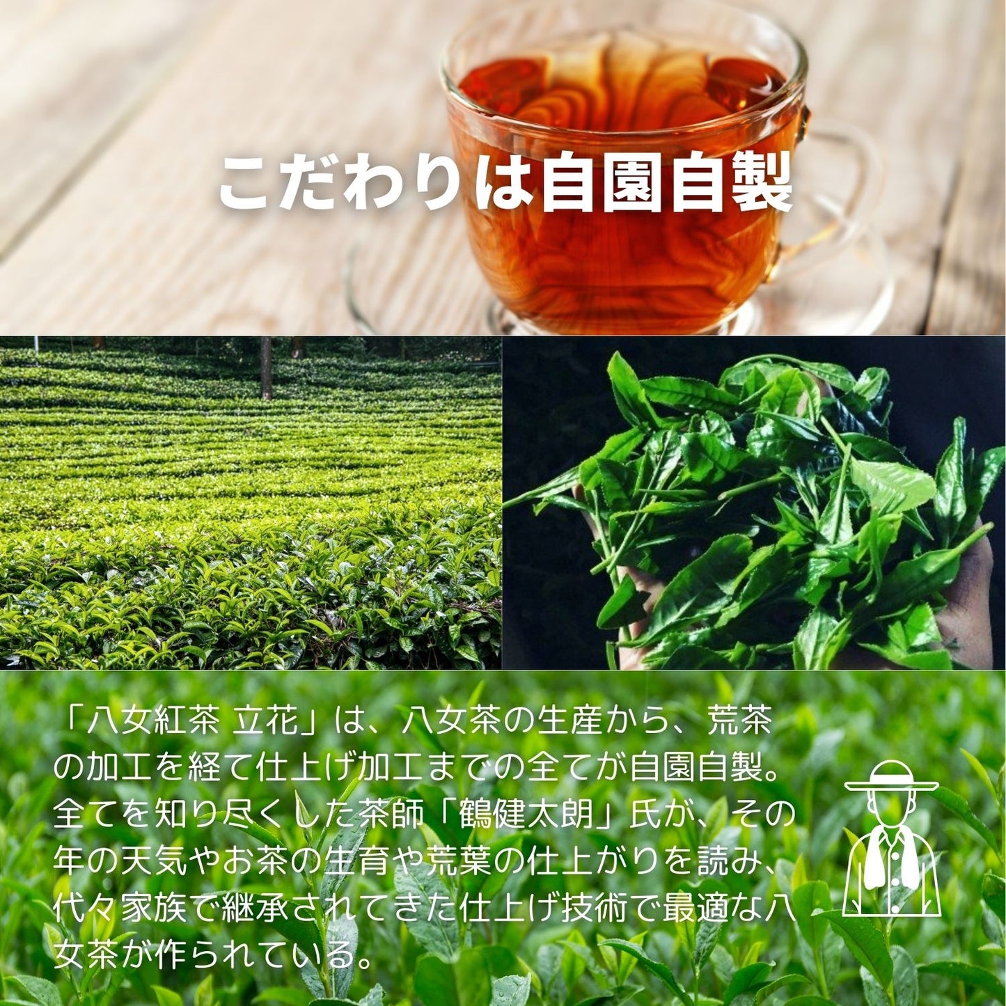 八女紅茶 立花【福岡県】- 生産者ブレンド|ProducerBlend