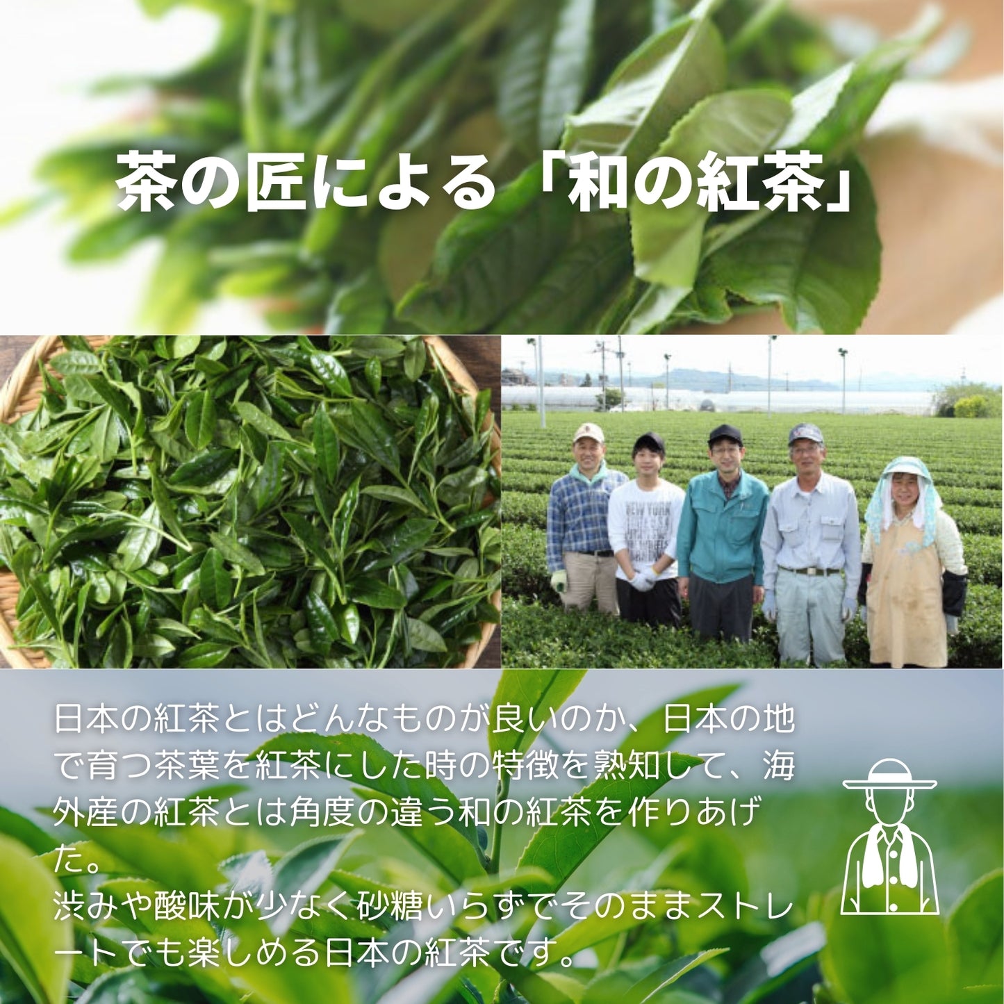 八女紅茶ブレンド【福岡県】- 生産者ブレンド|ProducerBlend