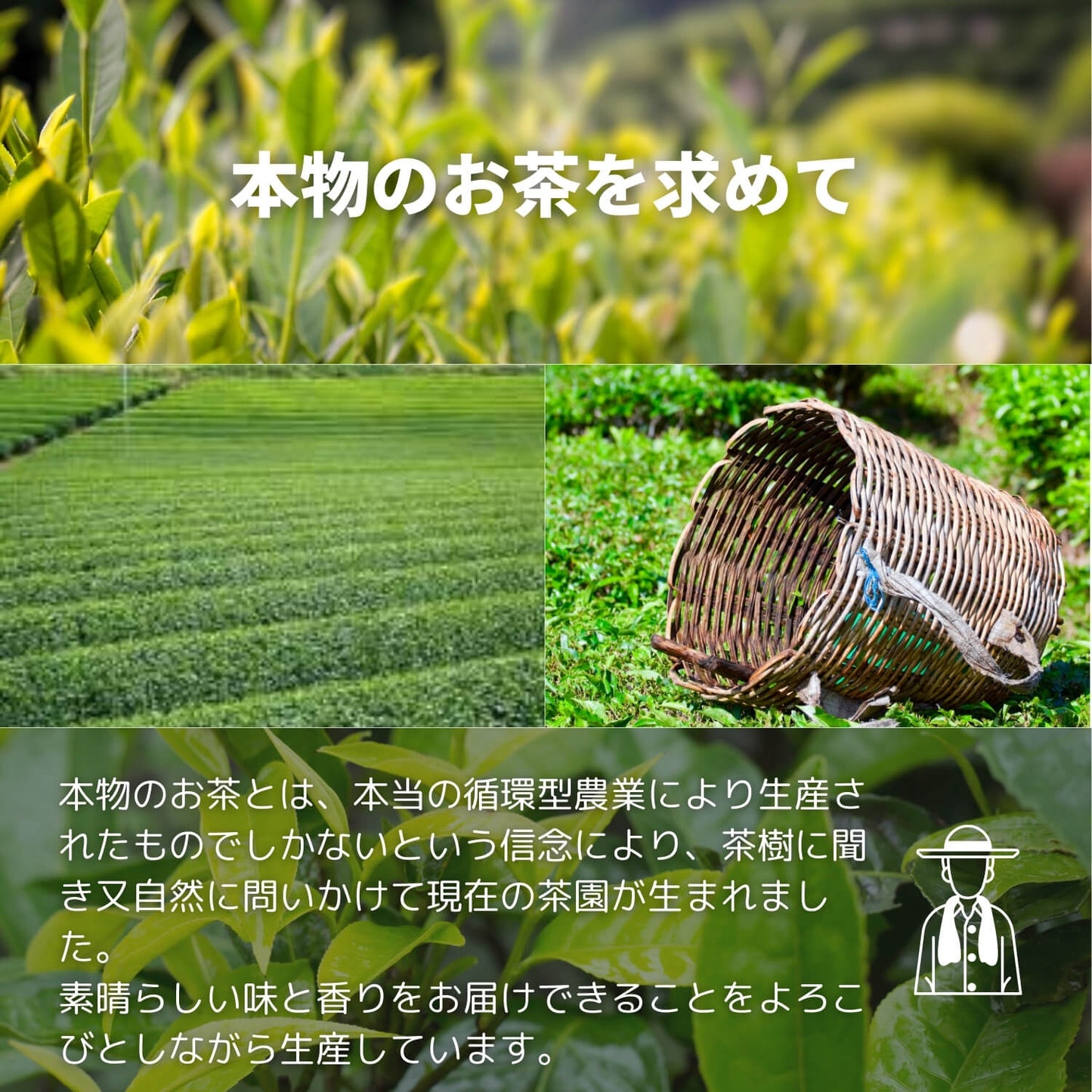 狭山紅茶 上谷ヶ貫【埼玉県】- 生産者ブレンド|ProducerBlend