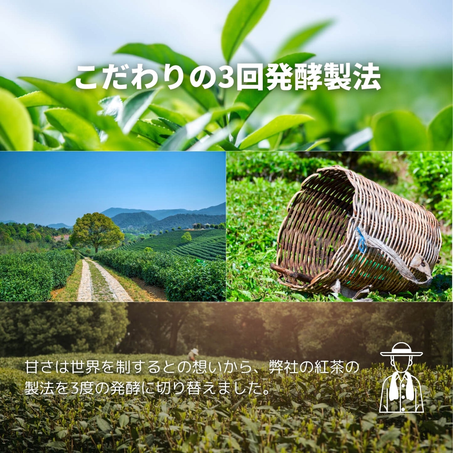 狭山紅茶 豊岡【埼玉県】- 生産者ブレンド|ProducerBlend
