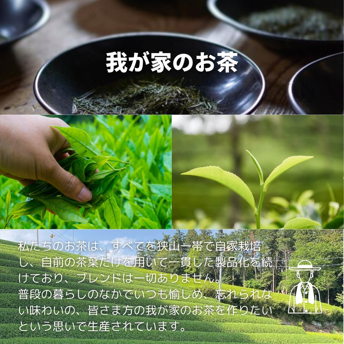 狭山紅茶 二本木【埼玉県】- 生産者ブレンド|ProducerBlend