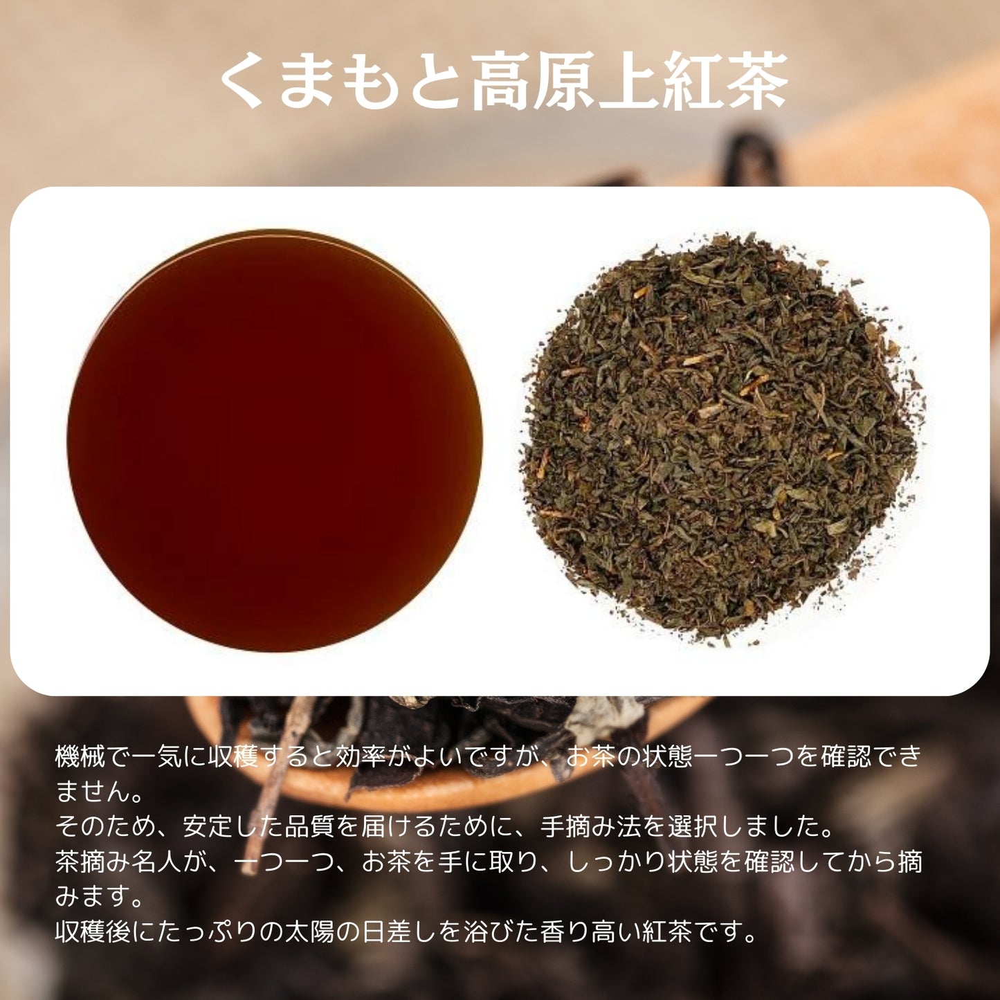 熊本高原上紅茶【熊本県】- 生産者ブレンド|ProducerBlend