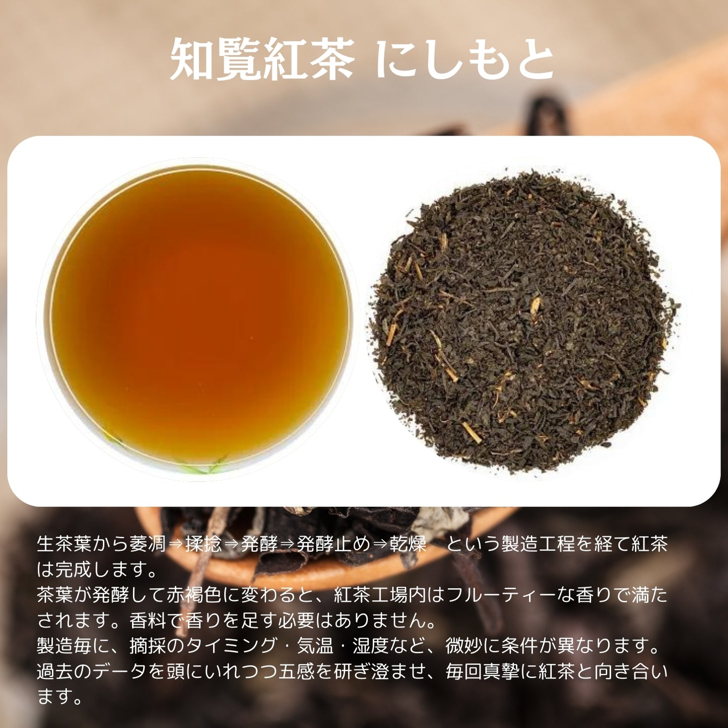 知覧紅茶 西本【鹿児島県】- 生産者ブレンド|ProducerBlend