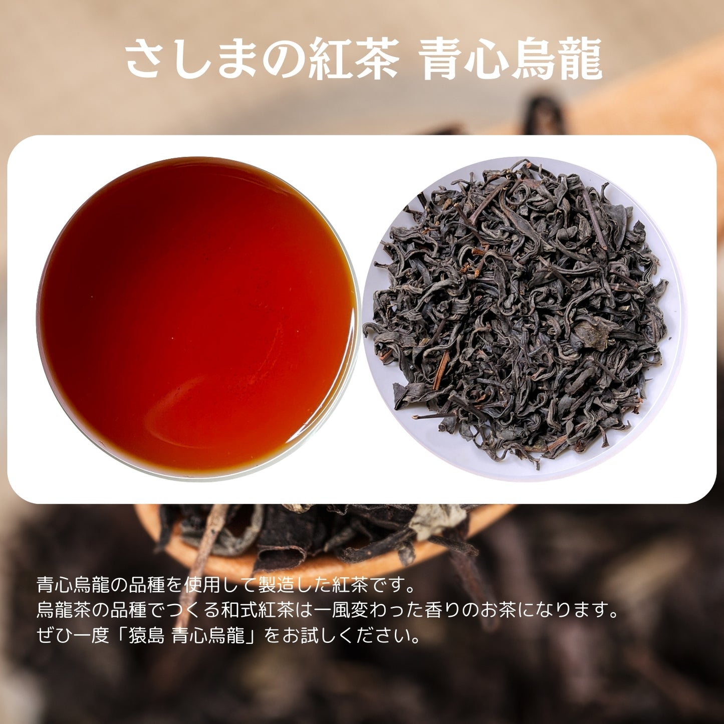 猿島紅茶 青心烏龍【茨城県】- シングルオリジン|SingleOrigin