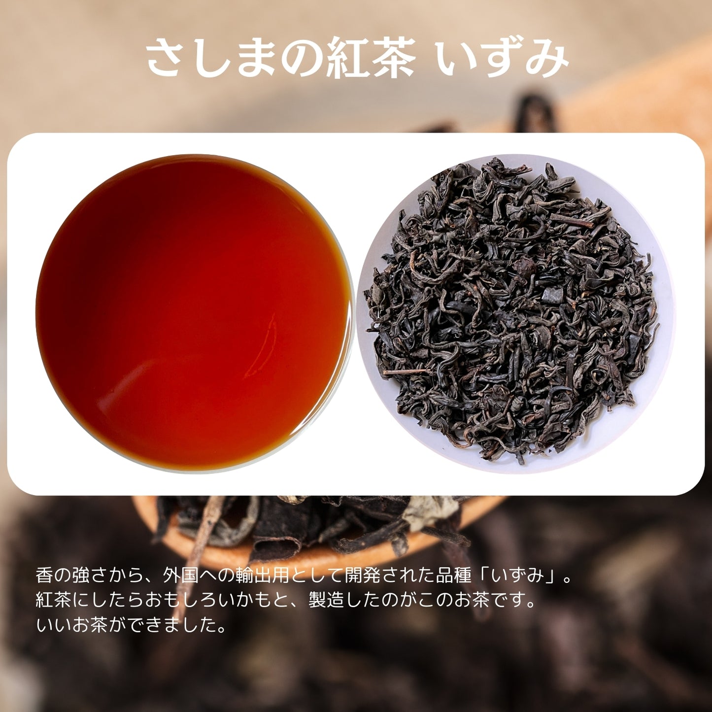 猿島紅茶 いずみ【茨城県】- シングルオリジン|SingleOrigin