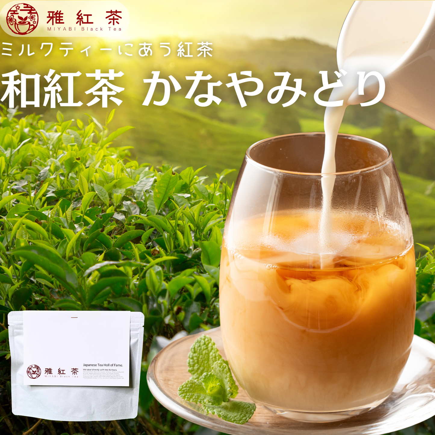 猿島紅茶 かなやみどり【茨城県】- シングルオリジン|SingleOrigin