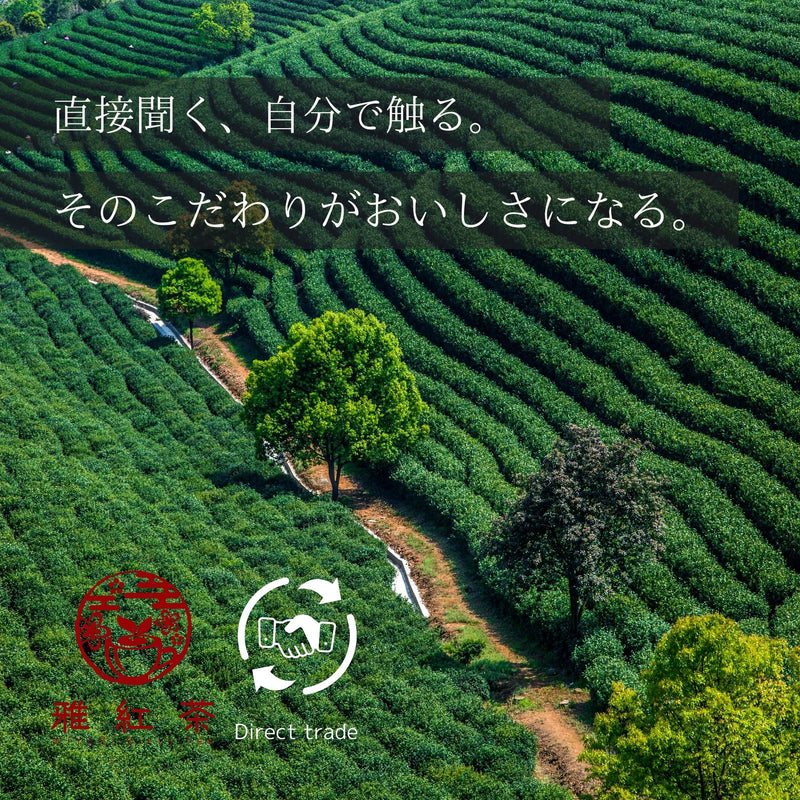 九州の和式紅茶 5パックアソートセット