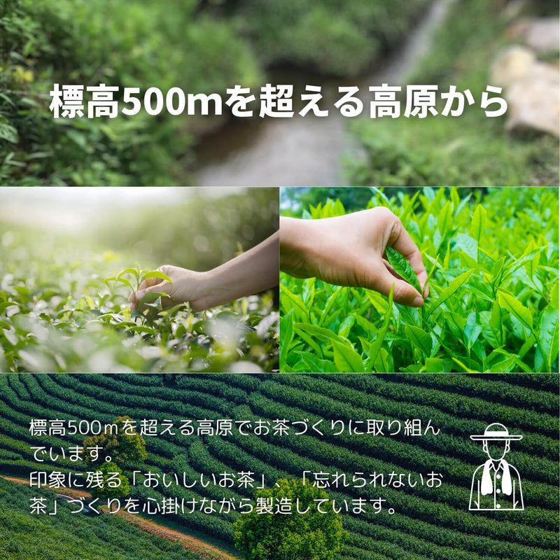 熊本高原上紅茶【熊本県】