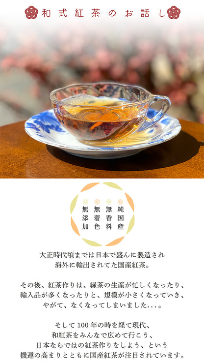 雅紅茶 和紅茶 ギフトセット